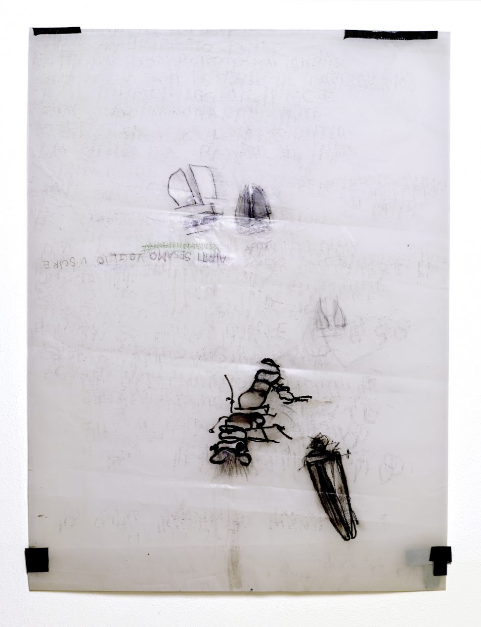 Roberto Cuoghi - Apriti Sesamo voglio uscire (writing with Pechan prisms)