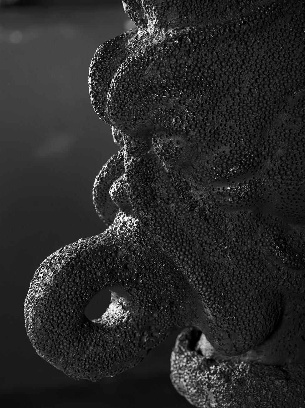 Roberto Cuoghi - SS(VIZ)c
