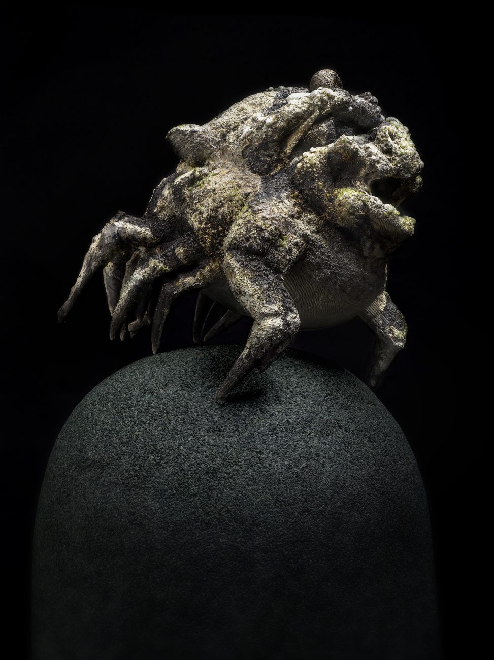 Roberto Cuoghi - SS(IIP)c