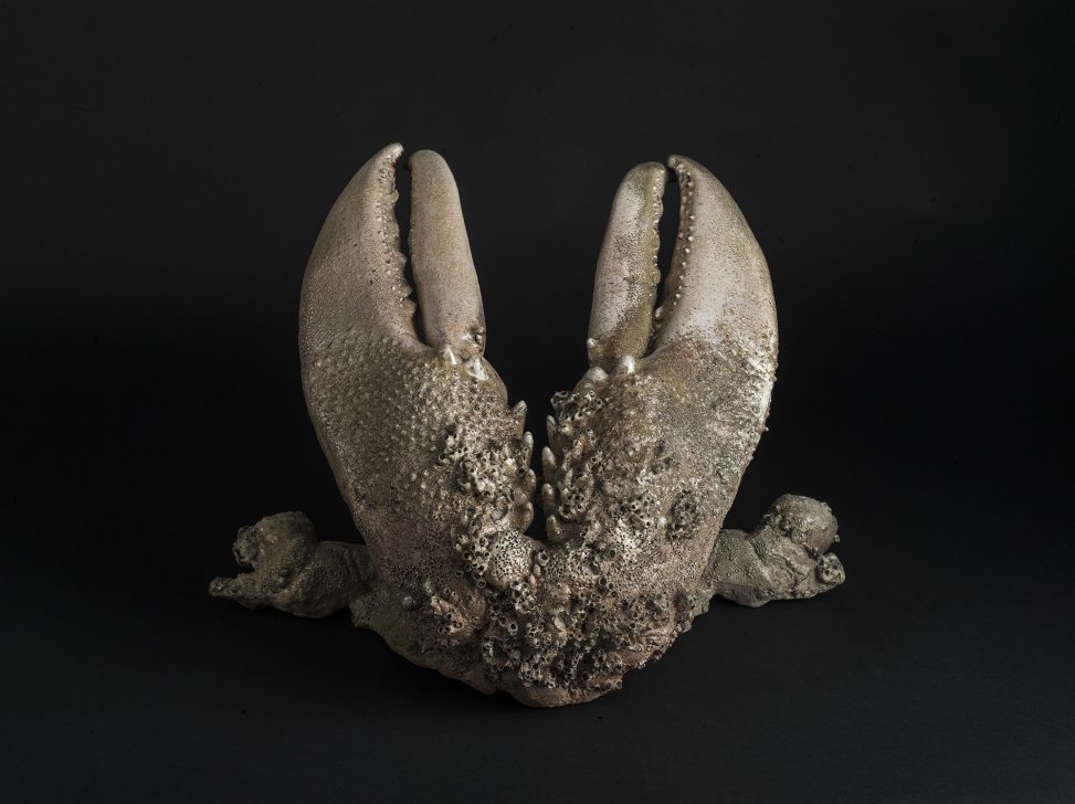 Roberto Cuoghi - SS(XLVIIP)c