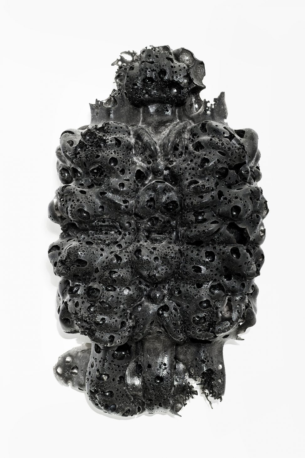 Roberto Cuoghi - SS(XIIP)pu