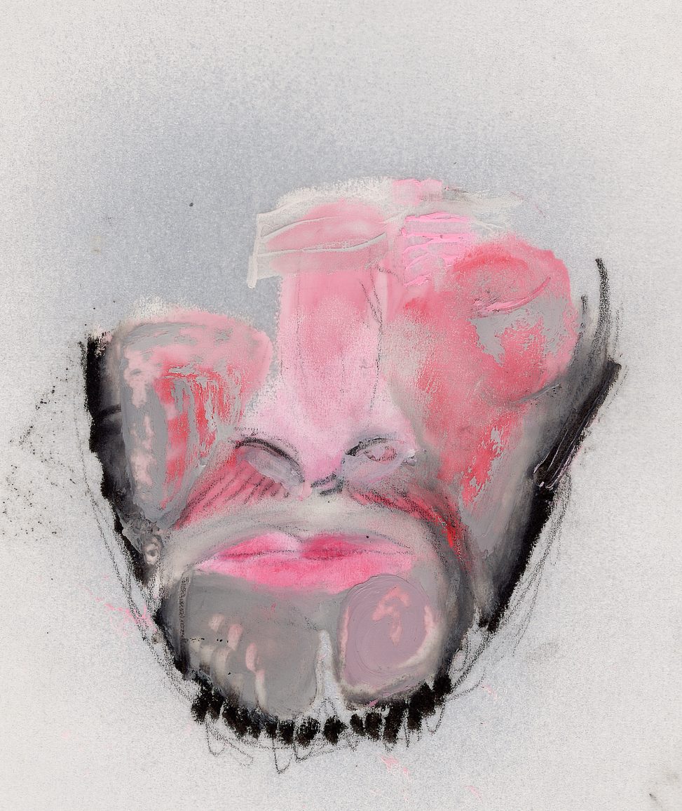 Roberto Cuoghi - Il Coccodeista (self-portrait with Pechan prisms)