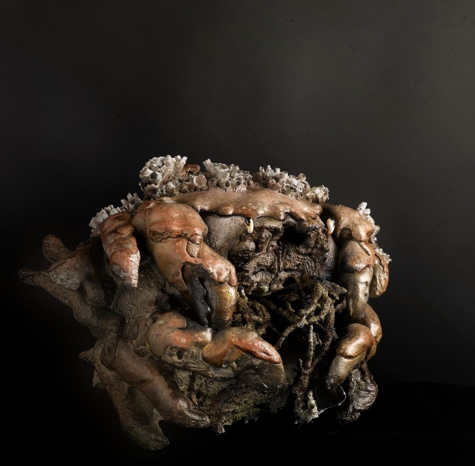 Roberto Cuoghi - SS(IP)c