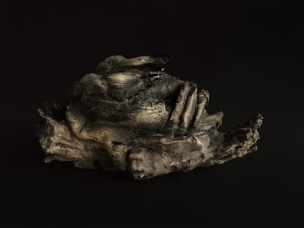 Roberto Cuoghi - SS(P)c