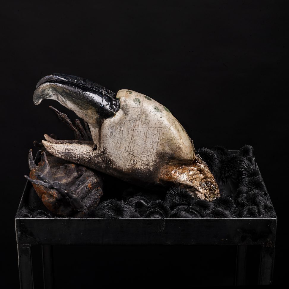 Roberto Cuoghi - SS(XXIIIP)c