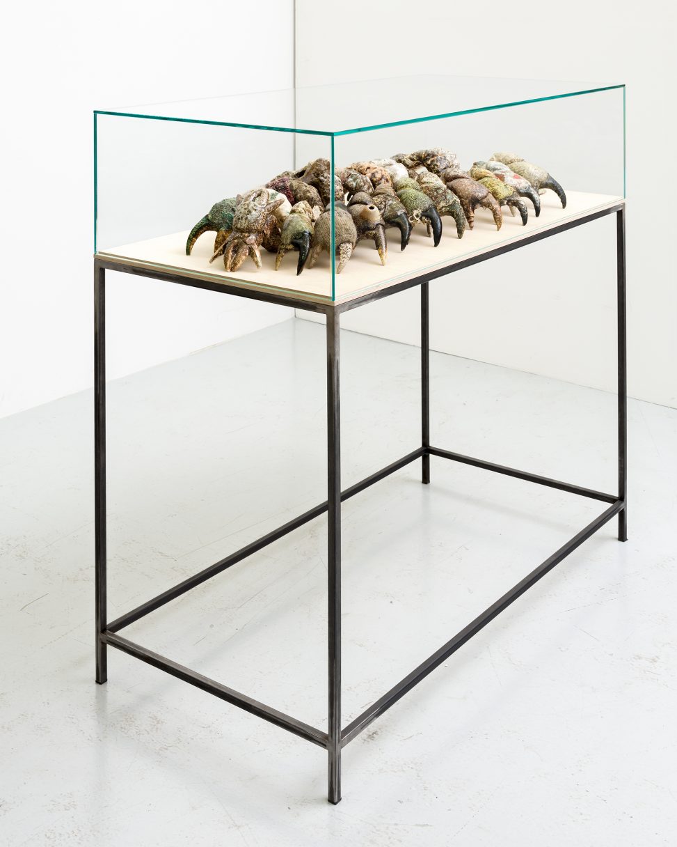 Roberto Cuoghi - SS(XXXVIIP)c