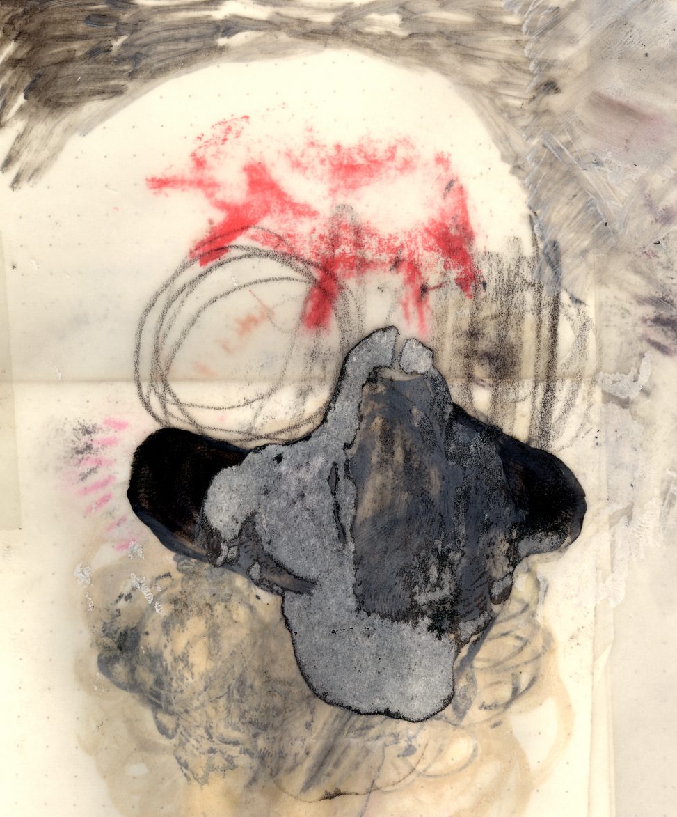 Roberto Cuoghi - Il Coccodeista (self-portrait with Pechan prisms)