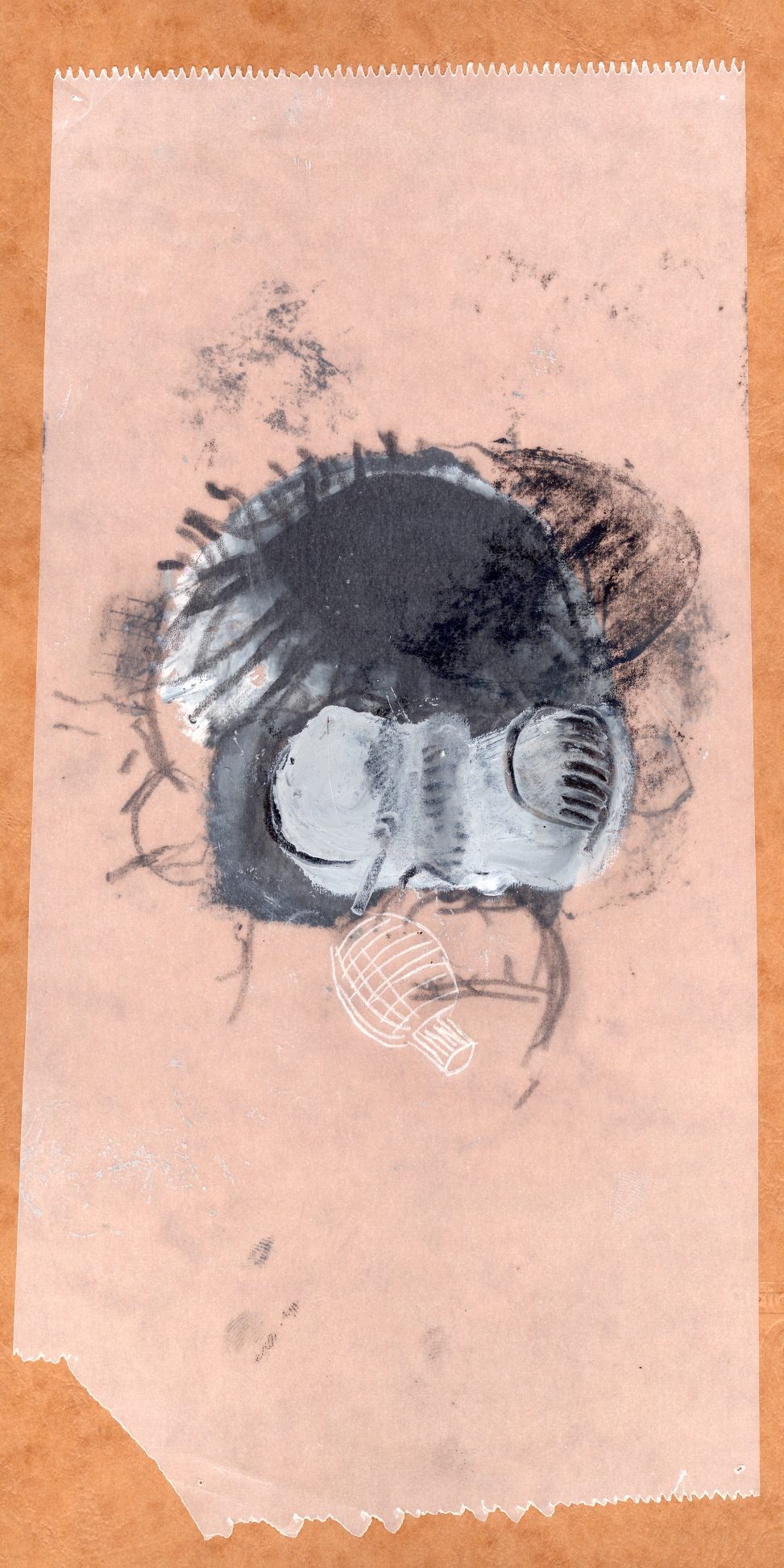 Il Coccodeista (self-portrait with Pechan prisms)