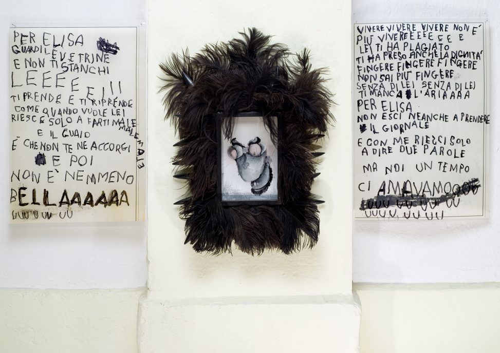 Il Coccodeista (self-portrait and writings with Pechan prisms)